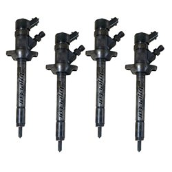 0445117859 BOSCH Injector - Spridare använda