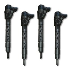 0986435031 BOSCH Injector - Spridare använda