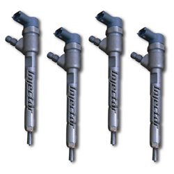 0445110398 BOSCH Injector - Spridare använda