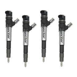 166093915R BOSCH Injector - Spridare