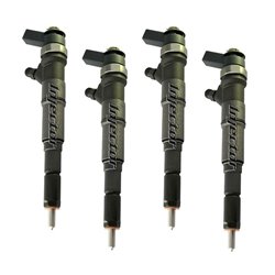 13537792096 BOSCH Injector - Spridare