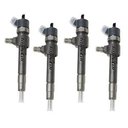 0445110187 BOSCH Injector - Spridare