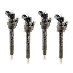 13538511630 BOSCH Injector - Spridare