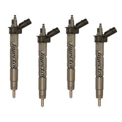 16790RL0G11 BOSCH Injector - Spridare