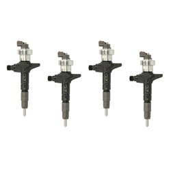 295050-1900 DENSO Injector - Spridare