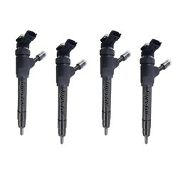 0445110250 BOSCH Injector - Spridare