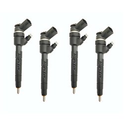 0445110167 BOSCH Injector - Spridare