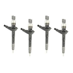 095000-0510 DENSO Injector - Spridare