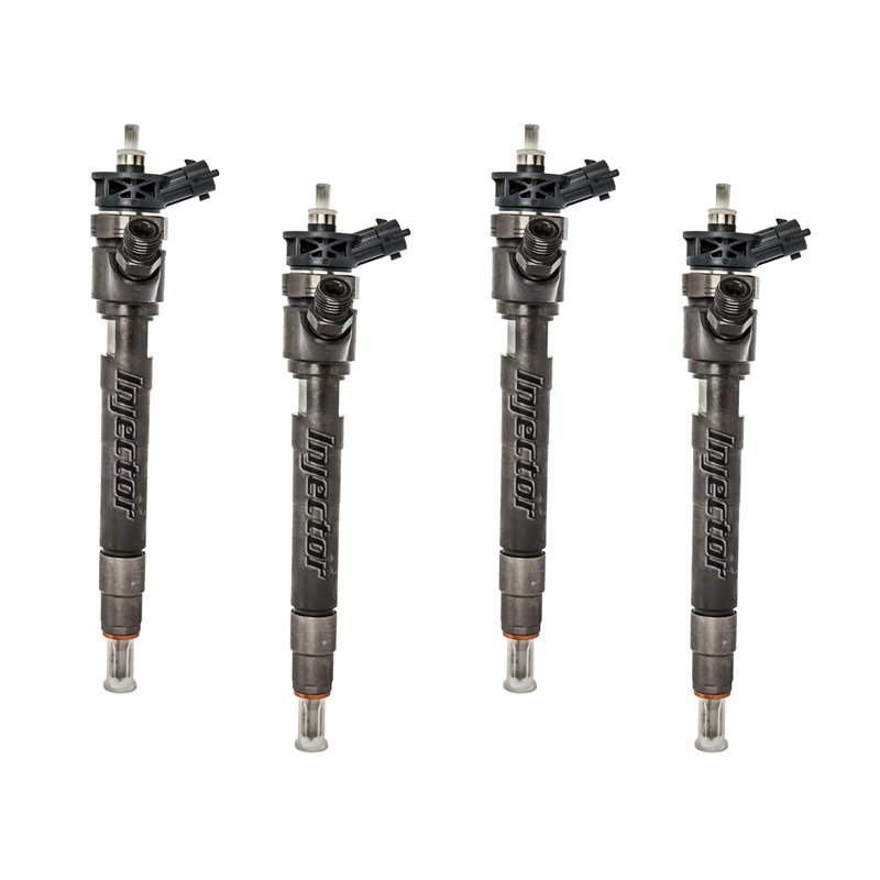 35062015F BOSCH Injector - Spridare