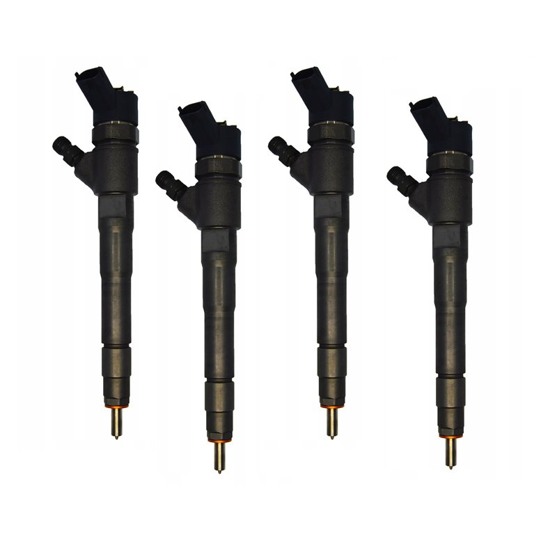 0445110273 BOSCH Injector - Spridare