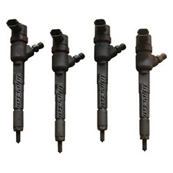 0445110316 BOSCH Injector - Spridare använda