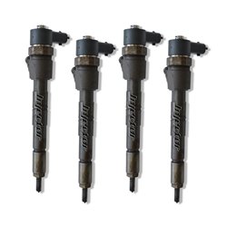 55221021 BOSCH Injector - Spridare använda