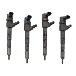 55221022 BOSCH Injector - Spridare använda