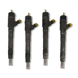 2995464 BOSCH Injector - Spridare använda