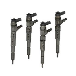 13537790630 BOSCH Injector - Spridare använda