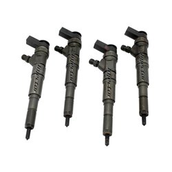 13537790630 BOSCH Injector - Spridare använda