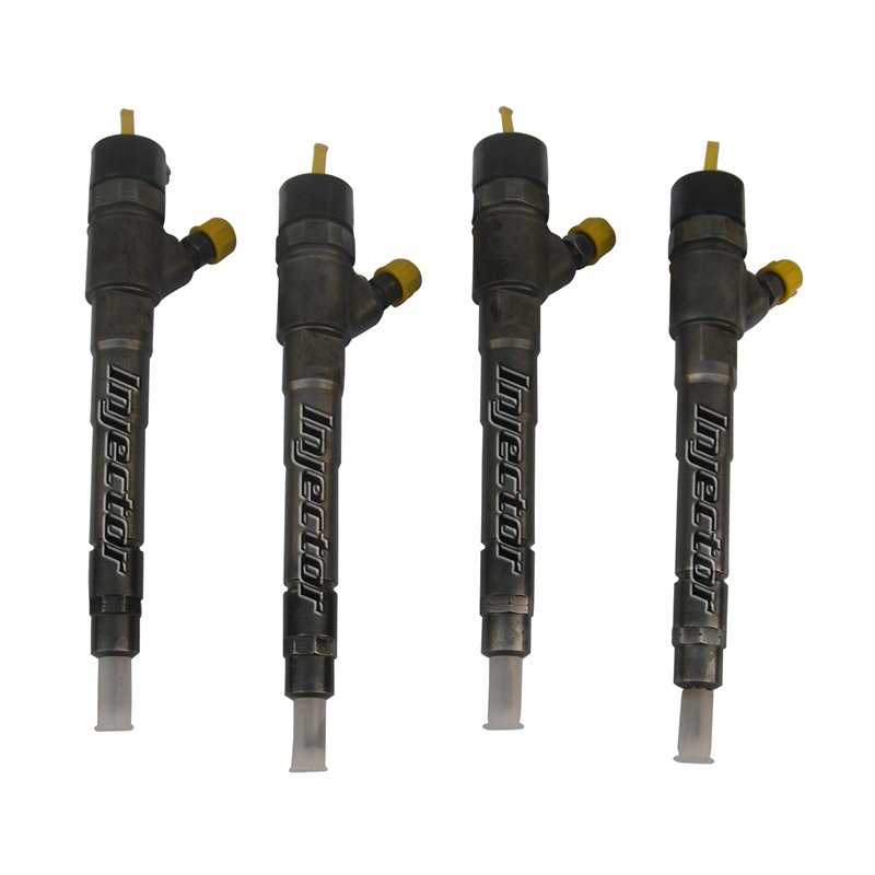 55564218 BOSCH Injector - Spridare använda