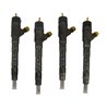 55564218 BOSCH Injector - Spridare använda