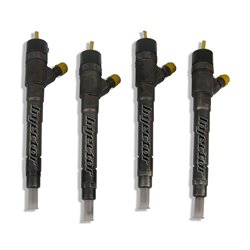 55564218 BOSCH Injector - Spridare använda