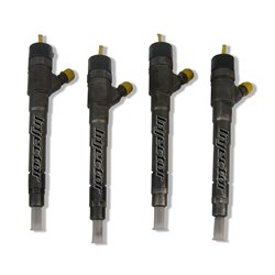 55564218 BOSCH Injector - Spridare använda