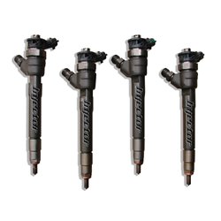 166007885R BOSCH Injector - Spridare använda