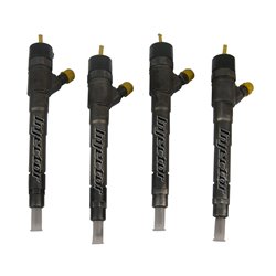 Fiat Idea 1.3 D Multijet 70 kW 95 HK BOSCH Injector - Spridare använda, 55219886