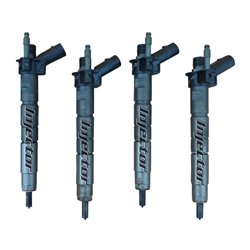 13537805430 BOSCH Injector - Spridare använda