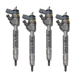 0445110166 BOSCH Injector - Spridare använda