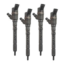 Hyundai Grandeur 2.2 CRDi 110 kW 150 HK BOSCH Injector - Spridare använda, F00TE0254H, F00TE02540