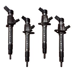 Land Rover Range rover sport 3.6 D 4x4 200 kW 272 HK VDO Injector - Spridare använda, 6H4Q-9K546-EB, LR002475