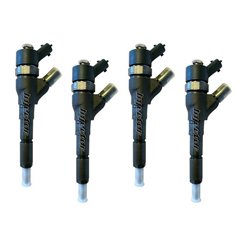 Peugeot 406 2.0 HDI 80 kW 109 HK BOSCH Injector - Spridare, 96375360, 96255425, 9635196580