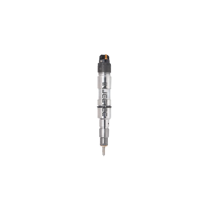 L101006066 BOSCH Injector - Spridare