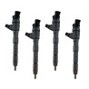 166003281R BOSCH Injector - Spridare