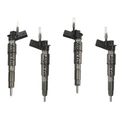 0445115009 BOSCH Injector - Spridare använda