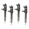 2P0130201 BOSCH Injector - Spridare