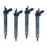 0445117079 BOSCH Injector - Spridare använda