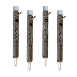 R01601Z DELPHI Injector - Spridare