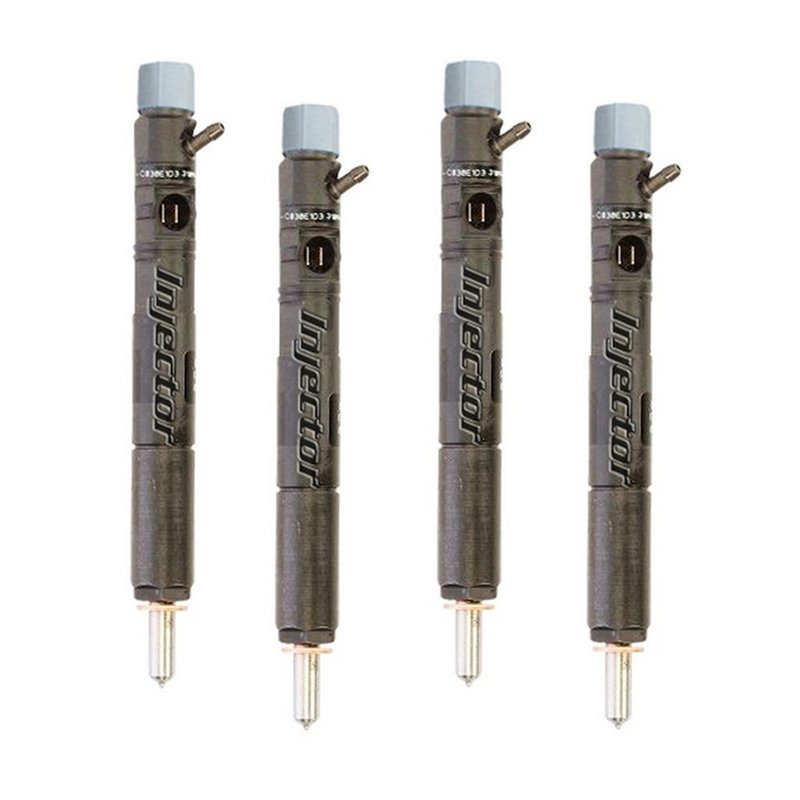 R00801Z DELPHI Injector - Spridare