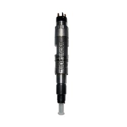 51.10100-6125 BOSCH Injector - Spridare