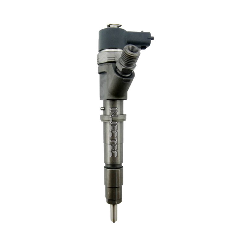 F01G09P2A1 BOSCH Injector - Spridare