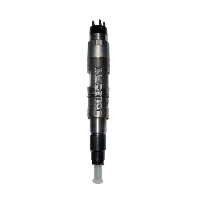 1077550220 BOSCH Injector - Spridare