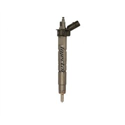 0445116001 BOSCH Injector - Spridare