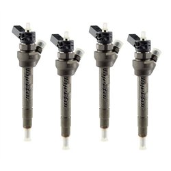 0445110598 BOSCH Injector - Spridare