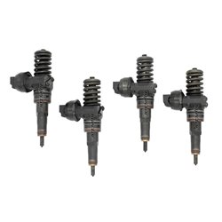 070130073R BOSCH Injector - Spridare använda