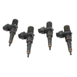 070130073R BOSCH Injector - Spridare använda