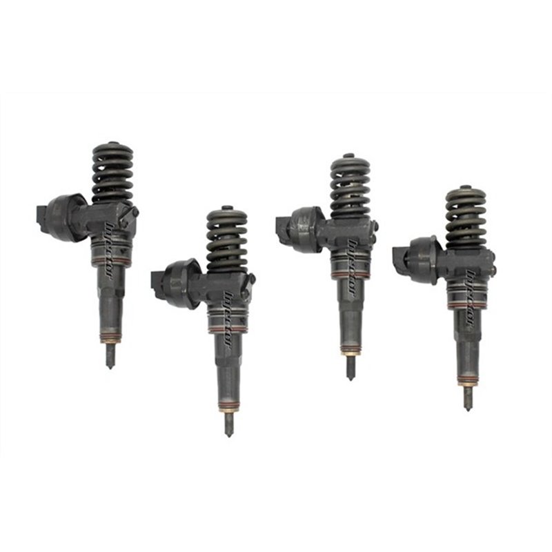 038130073R BOSCH Injector - Spridare använda