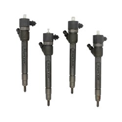 338002F300 BOSCH Injector - Spridare använda