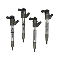 0445110581 BOSCH Injector - Spridare använda