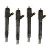 0445110699 BOSCH Injector - Spridare använda